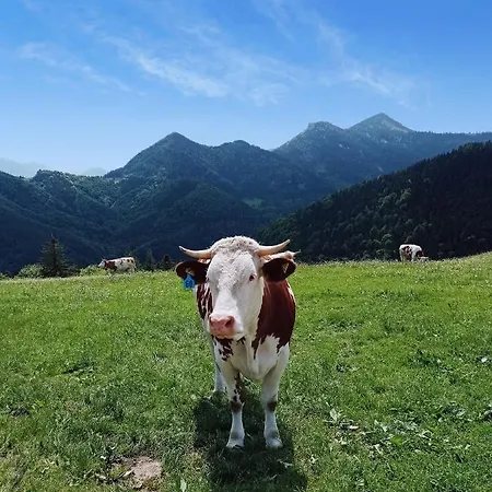 Haus Langweid Apartamento Neubeuern